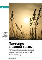 Smart Reading - Ключевые идеи книги - Плетение сладкой травы. Легенды аборигенов, научные знания и мудрость растений. Робин Киммерер