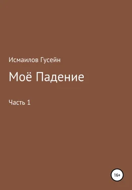 Гусейн Исмаилов Моё падение обложка книги