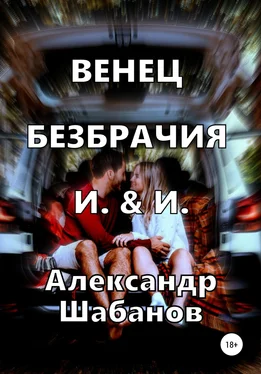 Александр Шабанов Венец безбрачия И. & И. обложка книги