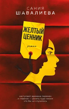 Сания Шавалиева Желтый ценник обложка книги