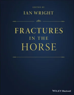 Неизвестный Автор Fractures in the Horse обложка книги