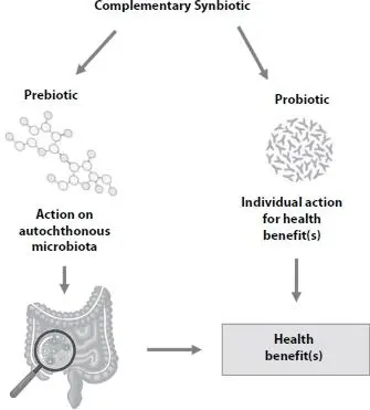 Figure 22 Mechanism of action of a complementary synbiotic Figure 23 - фото 13