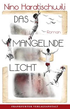 Nino Haratischwili Das mangelnde Licht обложка книги