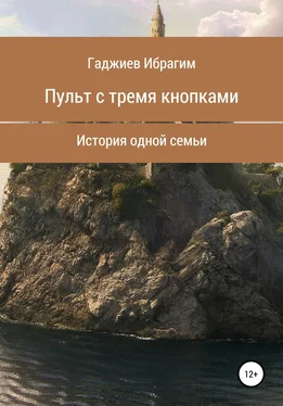 Ибрагим Гаджиев Пульт с тремя кнопками обложка книги