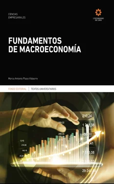Marco Antonio Plaza Vidaurre Fundamentos de macroeconomía обложка книги