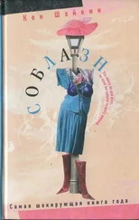 Кен Шэйкин - Соблазн