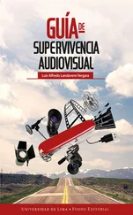 Luis Alfredo Landavere Vergara - Guía de supervivencia audiovisual