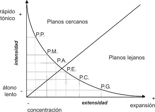 El primer plano PP está marcado por una fuerte intensidad perceptiva y - фото 21