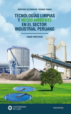 Arístides Sotomayor Tecnologías limpias y medio ambiente en el sector industrial peruano обложка книги