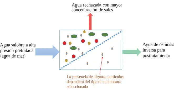 Elaboración propia e Intercambio iónico IO Utiliza resinas sintéticas o - фото 26