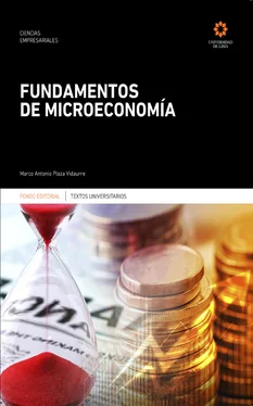 Marco Antonio Plaza Vidaurre Fundamentos de microeconomía обложка книги