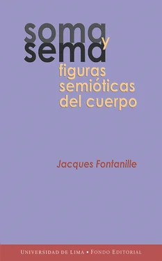 Jacques Fontanille Soma y sema обложка книги