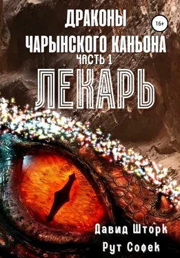 Рут Софек Драконы Чарынского каньона. Книга 1. Лекарь обложка книги