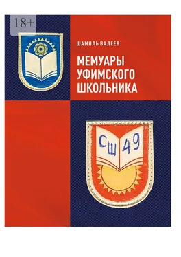 Шамиль Валеев Мемуары уфимского школьника обложка книги