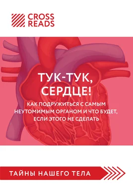 Полина Крыжевич Саммари книги «Тук-тук, сердце! Как подружиться с самым неутомимым органом и что будет, если этого не сделать» обложка книги
