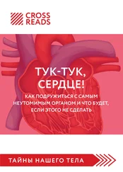 Полина Крыжевич - Саммари книги «Тук-тук, сердце! Как подружиться с самым неутомимым органом и что будет, если этого не сделать»