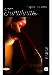 Farce - Типичная