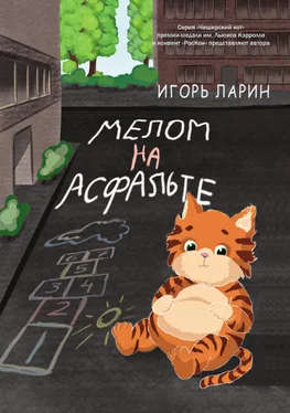 Игорь Ларин Мелом на асфальте обложка книги