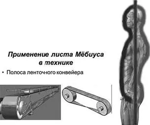 Рис 7 Транспортер тела Этот фасциальный костюмчик в который одето наше - фото 13