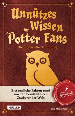 Lisa Marie Bopp Unnützes Wissen für Potter-Fans – Die inoffizielle Sammlung обложка книги
