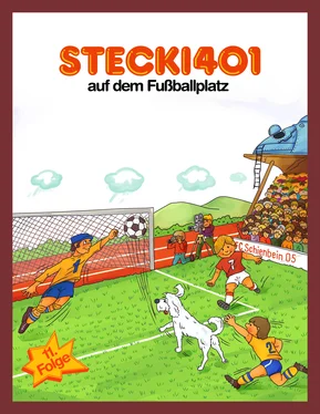 Hassan Refay Stecki 401 auf dem Fußballplatz обложка книги