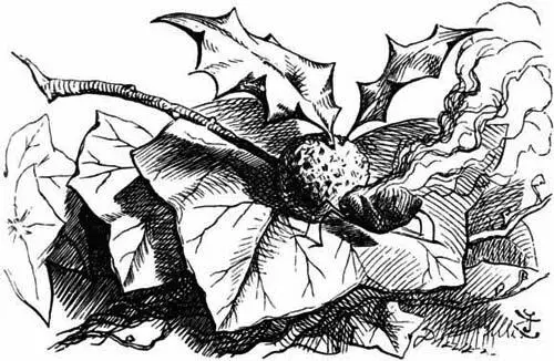 And what does it live on Frumenty and mince pie the Gnat replied and it - фото 59