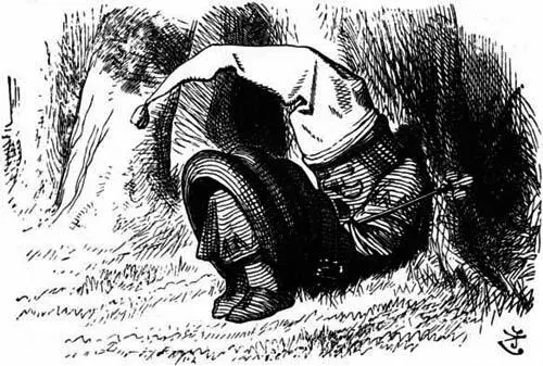 Alice couldnt say honestly that he was He had a tall red nightcap on with a - фото 66