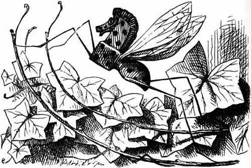 What does it live on Alice asked with great curiosity Sap and sawdust - фото 58