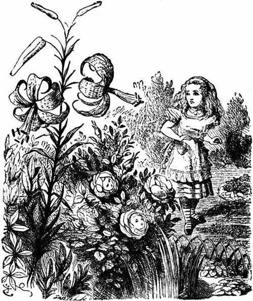 Alice was so astonished that she could not speak for a minute it quite seemed - фото 53