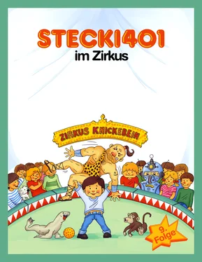 Hassan Refay Stecki 401 im Zirkus обложка книги