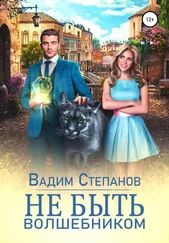 Вадим Степанов - Не быть волшебником