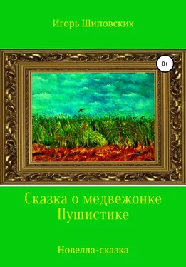 Игорь Шиповских Сказка о медвежонке Пушистике обложка книги