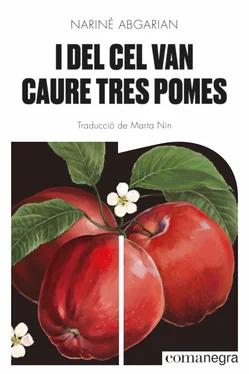 Nariné Abgarian I del cel van caure tres pomes обложка книги