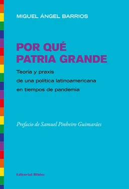 Miguel Ángel Barrios Por qué Patria Grande обложка книги