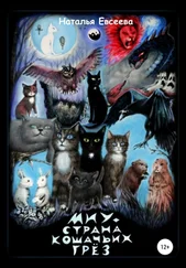 Наталья Евсеева - Миу – страна кошачьих грёз
