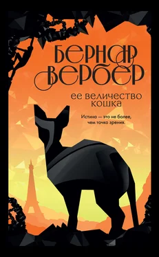 Бернар Вербер Ее величество кошка обложка книги