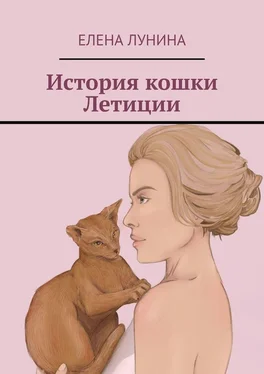 Елена Лунина История кошки Летиции обложка книги