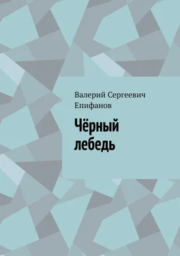 Валерий Епифанов Чёрный лебедь обложка книги