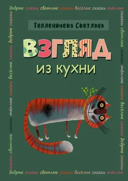 Светлана Тепленичева Взгляд из кухни обложка книги