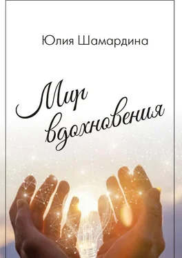 Юлия Шамардина Мир вдохновения обложка книги