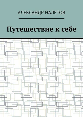 Александр Налетов Путешествие к себе обложка книги