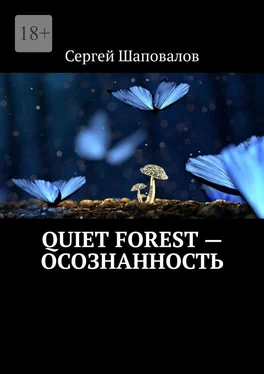 Сергей Шаповалов Quiet Forest – Осознанность обложка книги