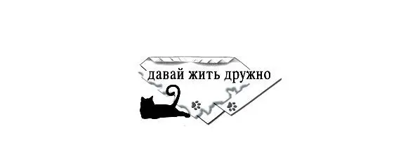 Глава 2 С чего начать Придя домой Даша громко позвала кота Сталкер Он - фото 1