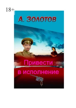 Александр Золотов Привести в исполнение. История обложка книги