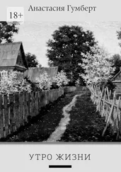 Анастасия Гумберт - Утро жизни