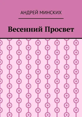 Андрей Минских Весенний просвет обложка книги