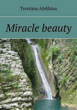 Tsvetana Alеkhina Miracle beauty обложка книги