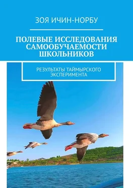 Зоя Ичин-Норбу Полевые исследования самообучаемости школьников. Результаты таймырского эксперимента обложка книги