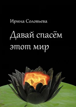 Ирина Соловьёва Давай спасём этот мир обложка книги