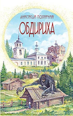 Анастасия Полярная Обдириха обложка книги